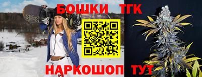 индика Волгодонск