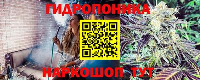 индика Волгодонск