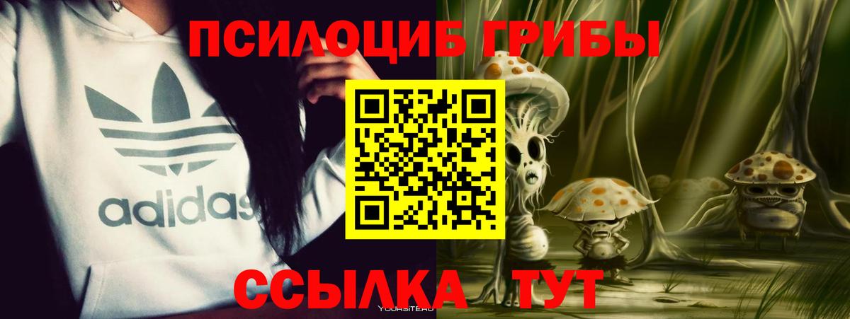 Псилоцибиновые грибы ЛСД Кемерово